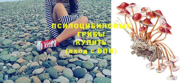 эйфоретик Алексеевка