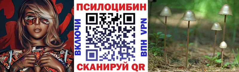 Купить где  Мамоново  Псилоцибиновые грибы мухоморы 